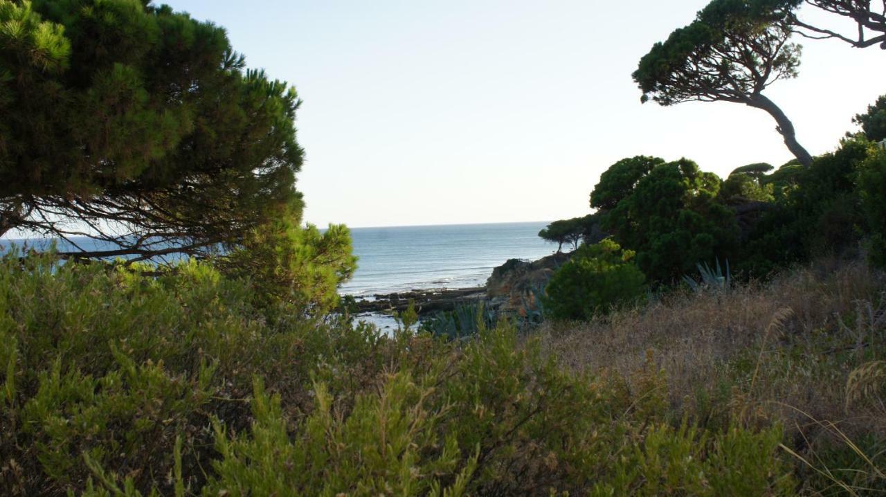 Luxurious T2 Apartment, Olhos Dagua Albufeira Luaran gambar